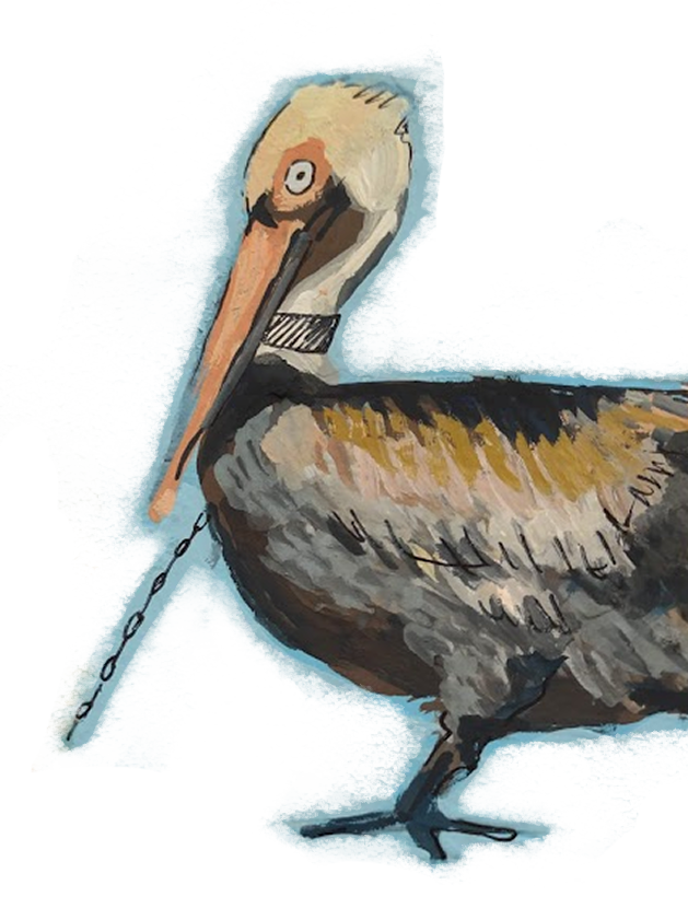 A digital illustration of a brown pelican with a shackle around its leg.