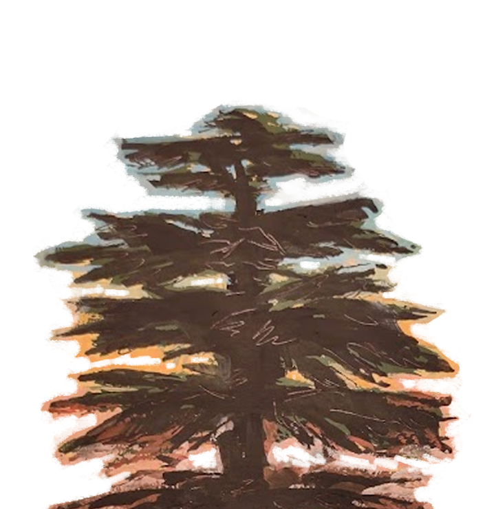 A digital illustration of a coniferous tree with a ranbow gradient glow around it.