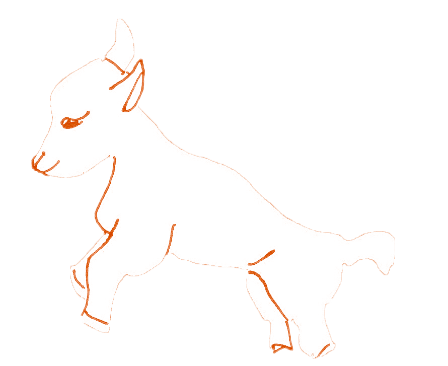 Illustration of a goat.