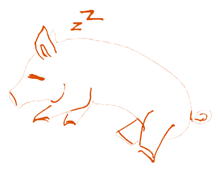 Illustration of a pig.