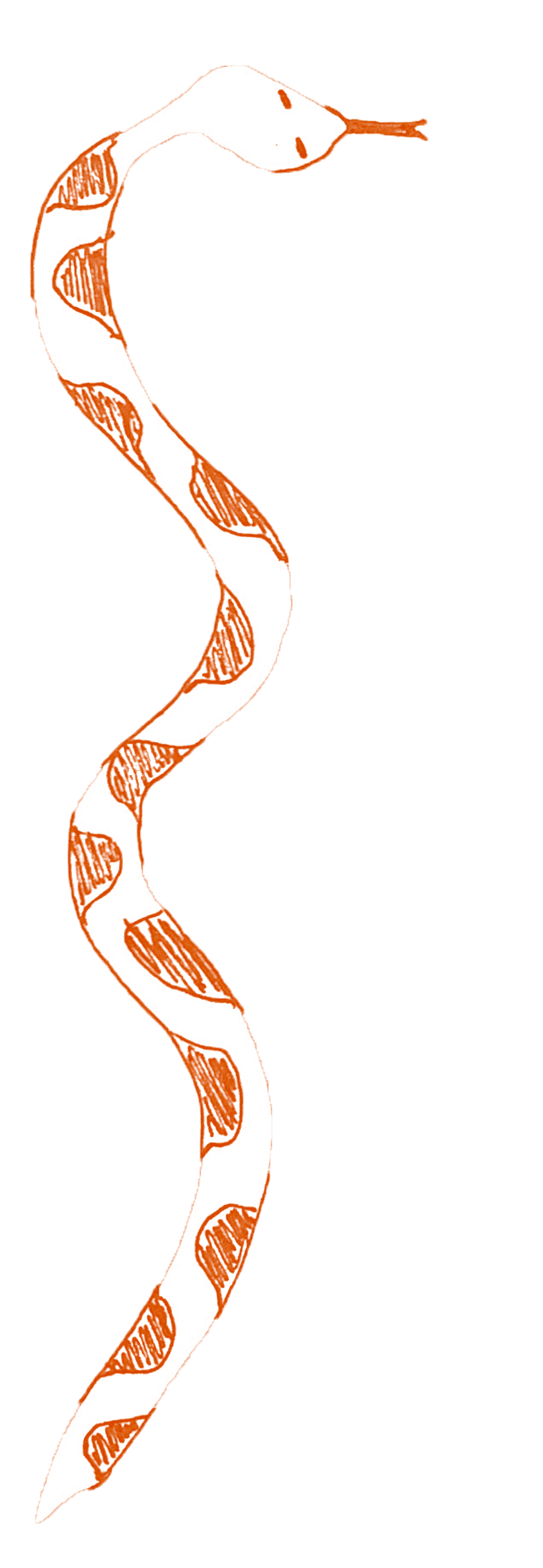 Illustration of a snake.